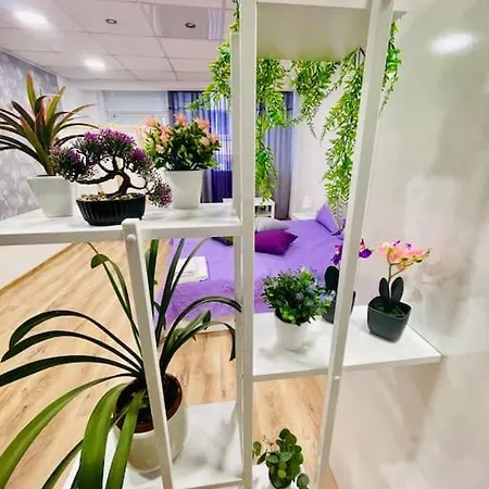 Апартамент 21